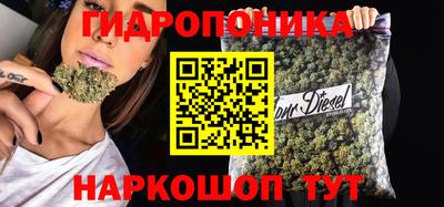 гидропоника Ипатово