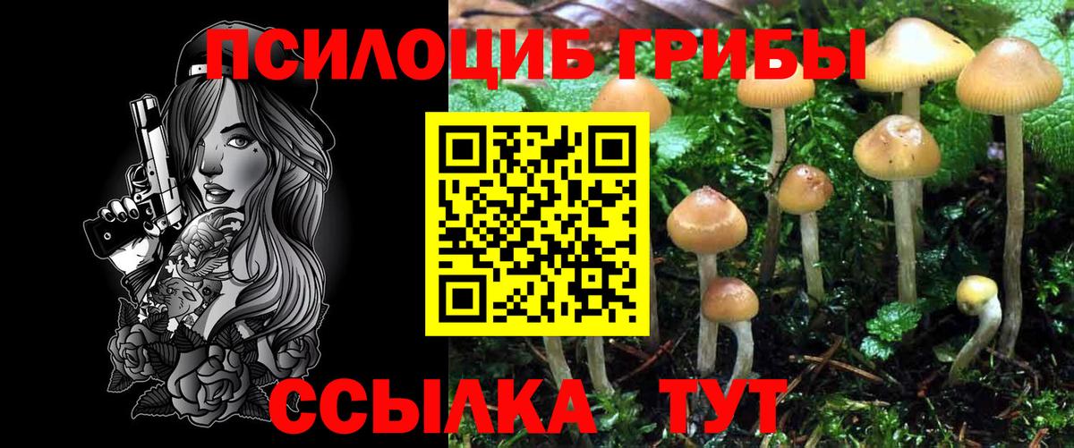 Канабис  Гашиш  Cocaine  МЕФ кристаллы  Куйбышев  Вход с VPN  ГАШИШ 