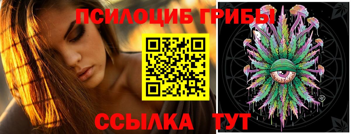как найти закладки  Галлюциногенные грибы MAGIC MUSHROOMS  Вход с VPN  Галлюциногенные грибы ЛСД  Куйбышев 